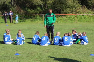 爱游戏娱乐登录-浙江队精心准备,迎接新一轮挑战  第1张